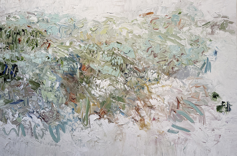 Grasslands