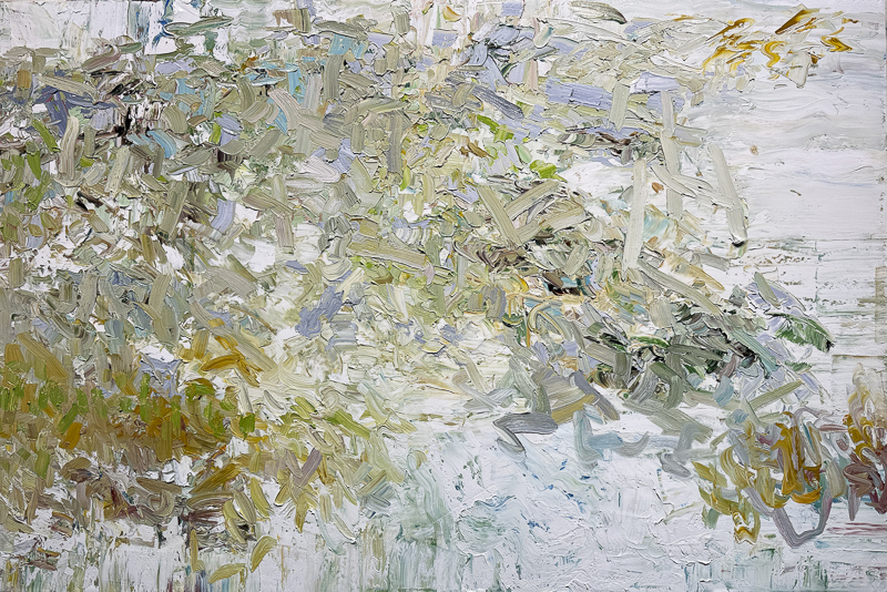 Tangled Woods