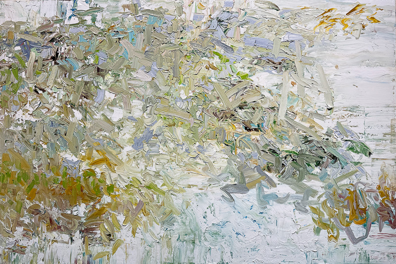 Tangled Woods - 48" x 72" Oil on canvas